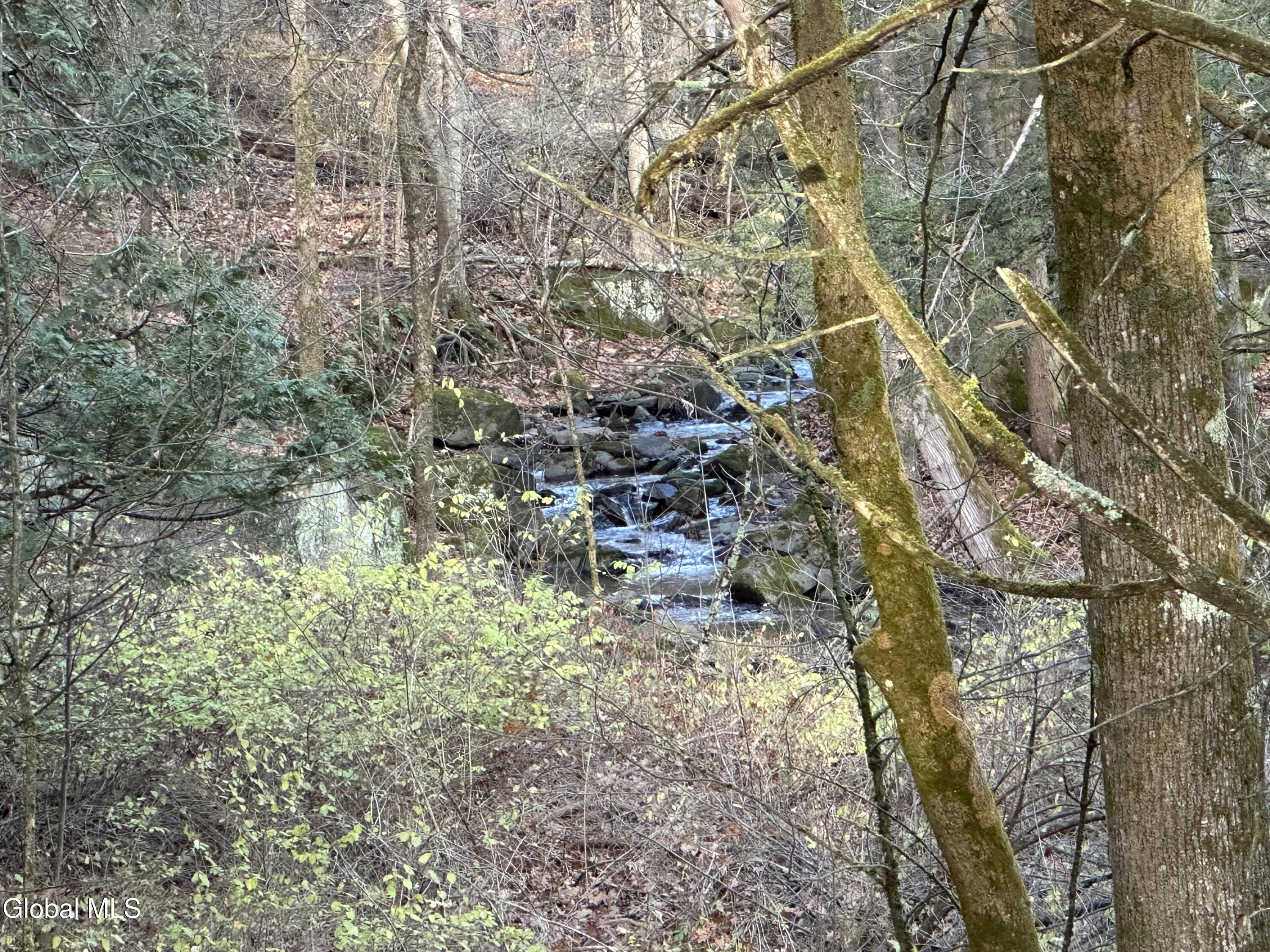 1 Mosier Road Dresden, NY 12887 - Photo 13 of 14 IMG_4217