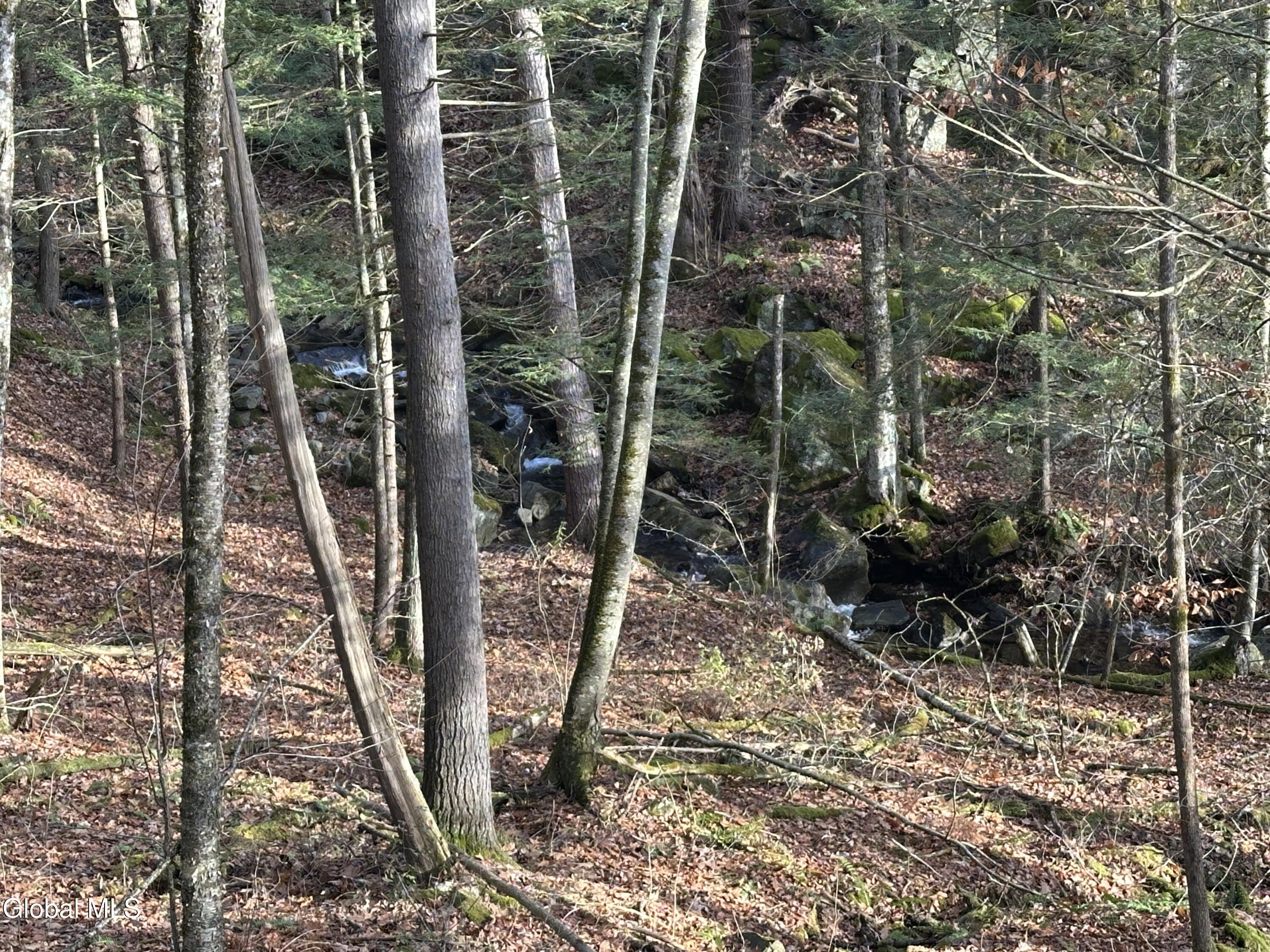 1 Mosier Road Dresden, NY 12887 - Photo 5 of 14 IMG_4206