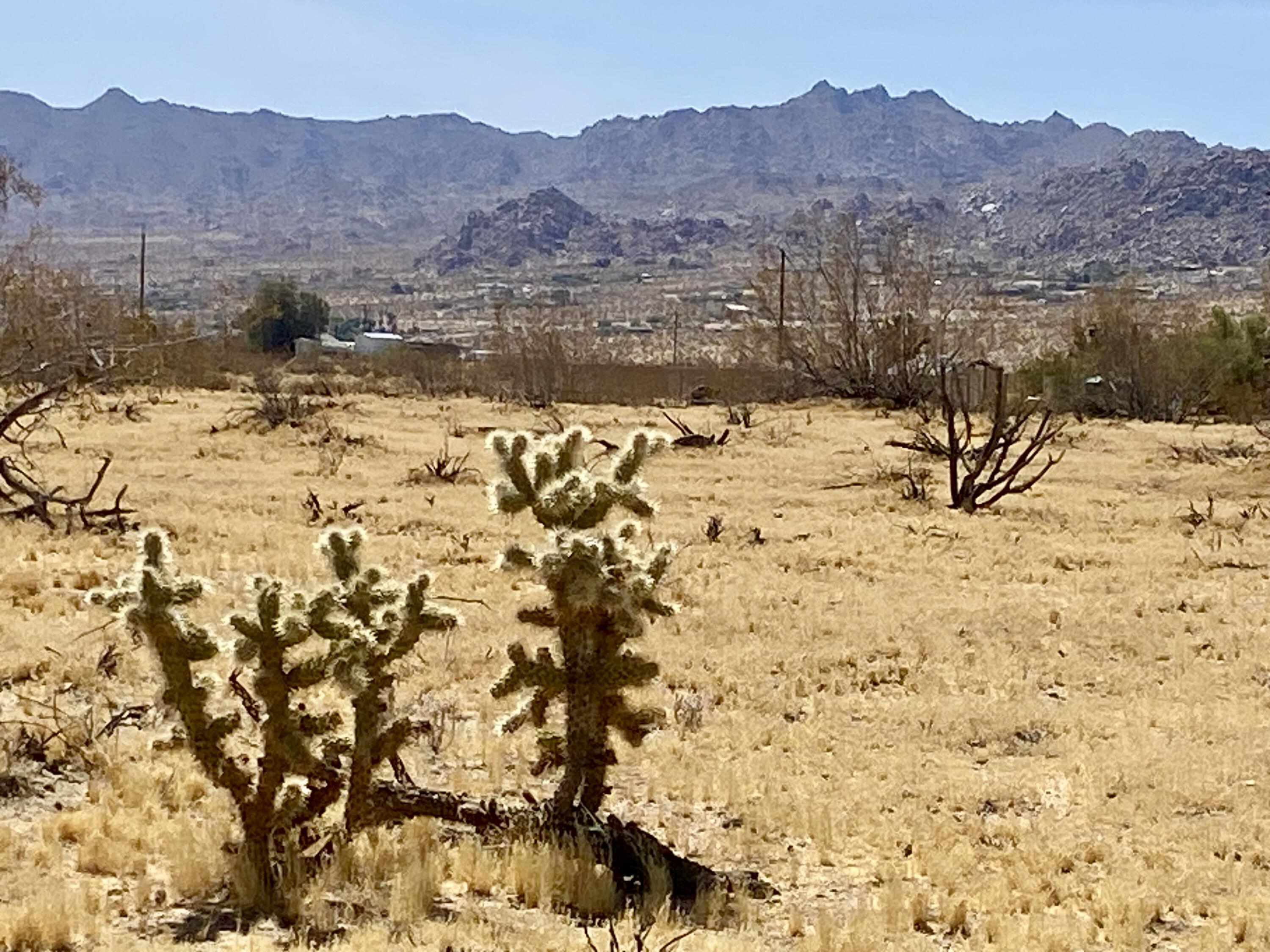 62585 2 Mile Road Joshua Tree, CA 92252 - Photo 33 of 66 IMG_9219