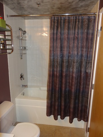 420 South Clinton Street, Unit 302 Chicago, IL 60607 - Photo 13 of 19