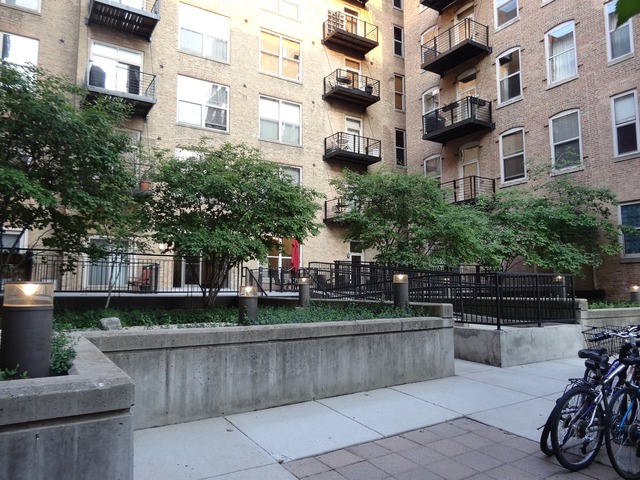 420 South Clinton Street, Unit 302 Chicago, IL 60607 - Photo 16 of 19