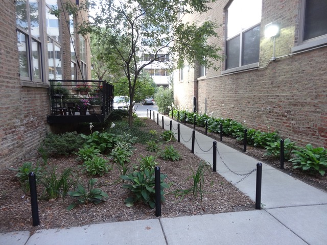 420 South Clinton Street, Unit 302 Chicago, IL 60607 - Photo 17 of 19