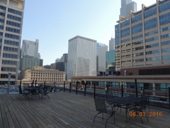 420 South Clinton Street, Unit 302 Chicago, IL 60607 - Photo 18 of 19