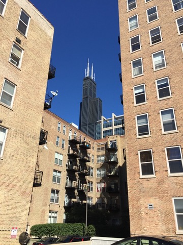 420 South Clinton Street, Unit 302 Chicago, IL 60607 - Photo 19 of 19