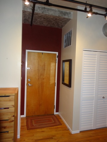 420 South Clinton Street, Unit 302 Chicago, IL 60607 - Photo 8 of 19