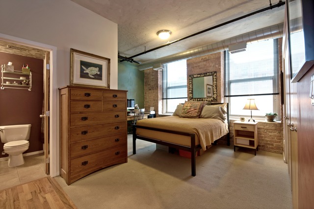 420 South Clinton Street, Unit 302 Chicago, IL 60607 - Photo 9 of 19