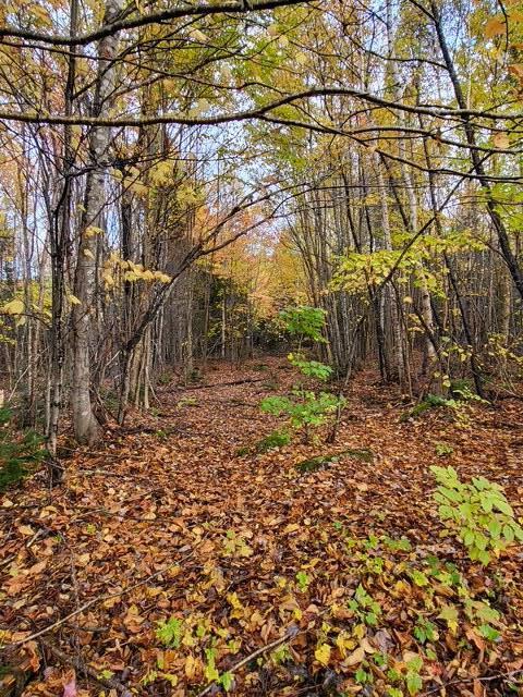Lot 6 Morrison Brook, Unit ACRES Oakfield, ME 04763 - Photo 13 of 25 6511133490009186478