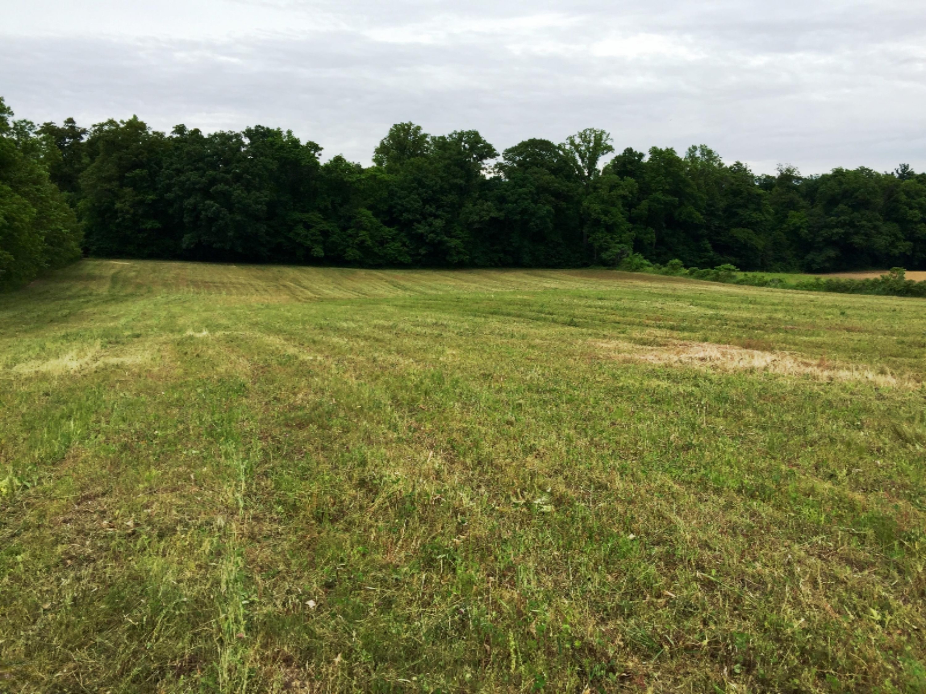 Curran Road Niles, MI 49120 - Photo 1 of 4 1
