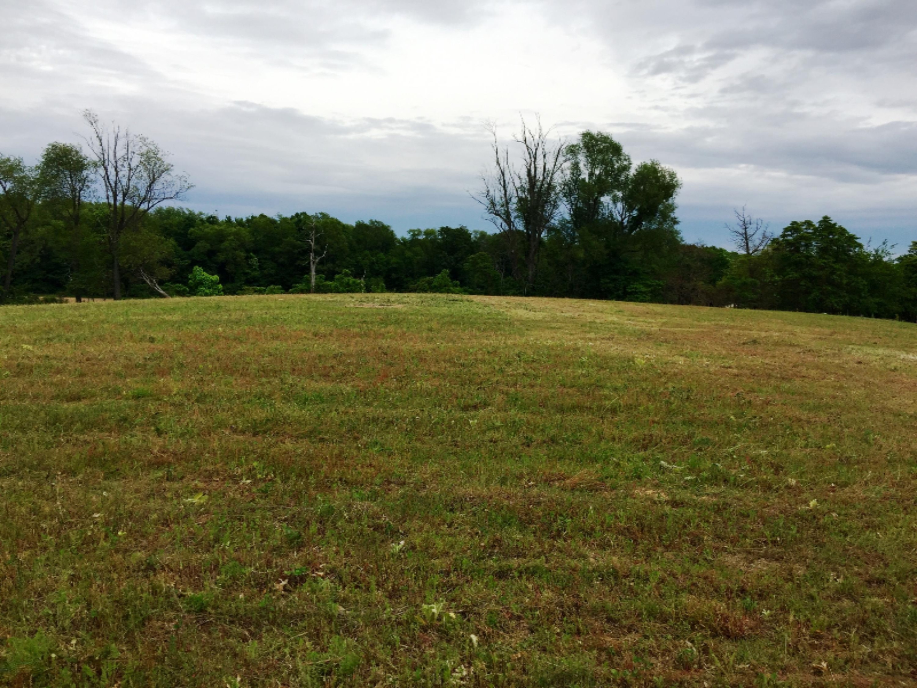 Curran Road Niles, MI 49120 - Photo 3 of 4 4