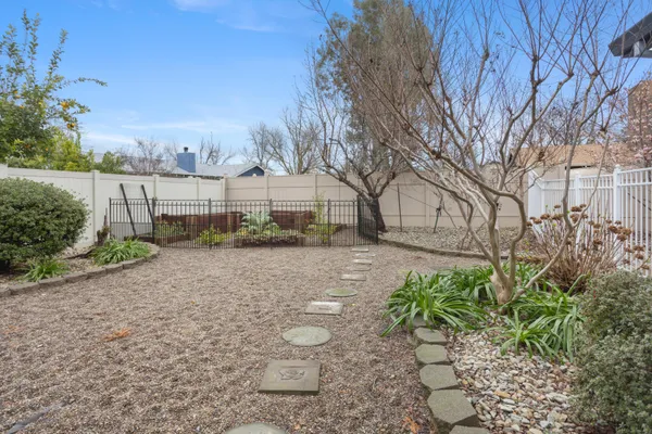 a view of a yard with plants and a large tree