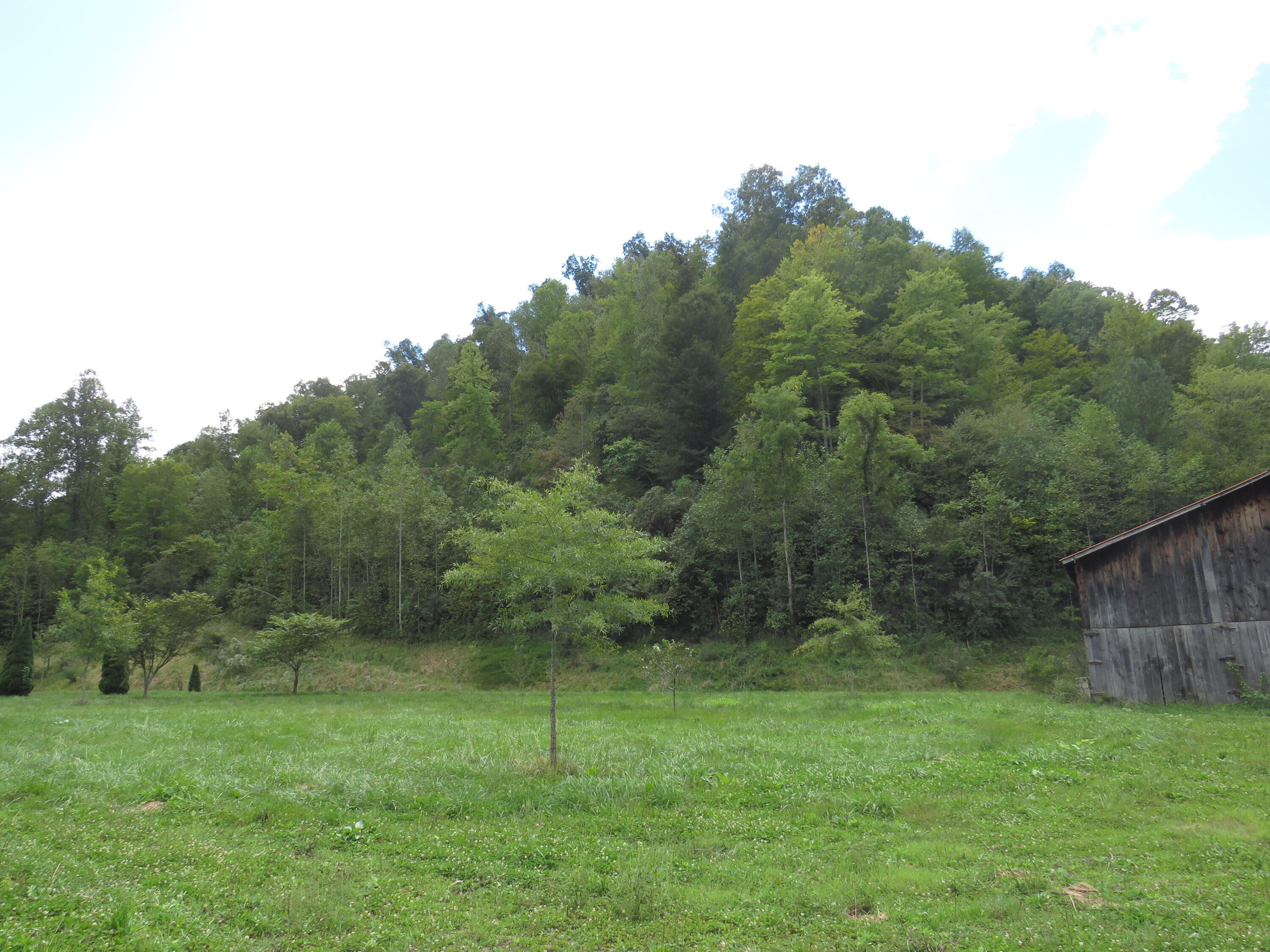 108 Lost Fork Road Manchester, KY 40962 - Photo 68 of 111 IMG_4472