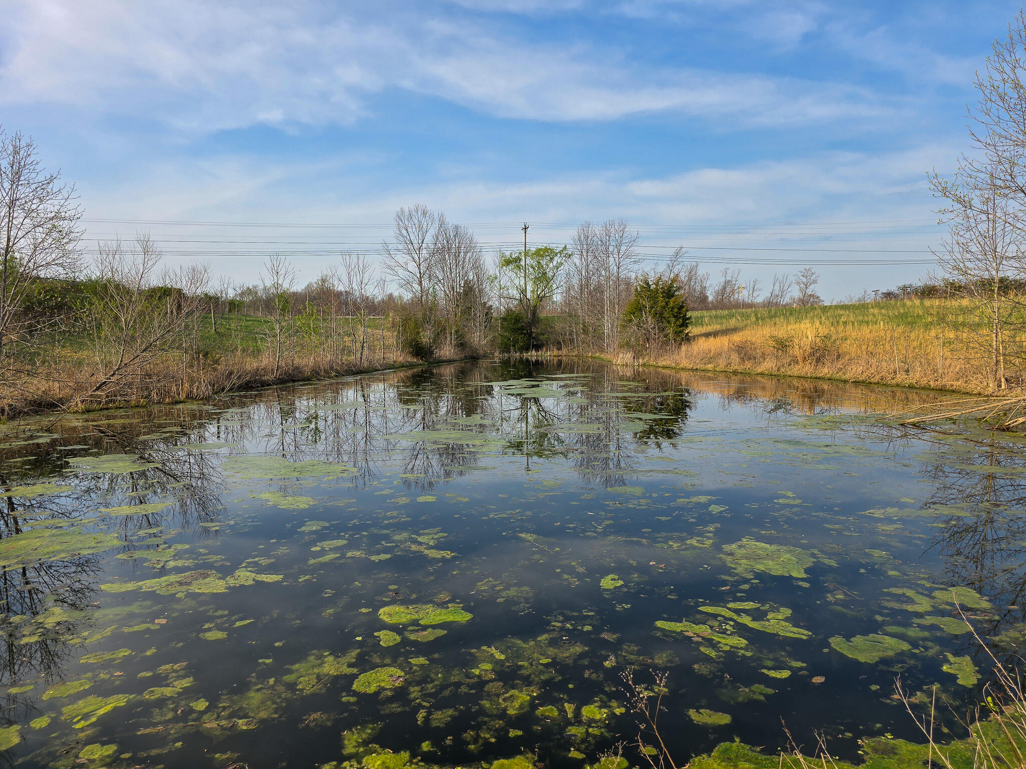 2060 Dry Ridge Road Liberty, KY 42539 - Photo 84 of 87 20250402_182050