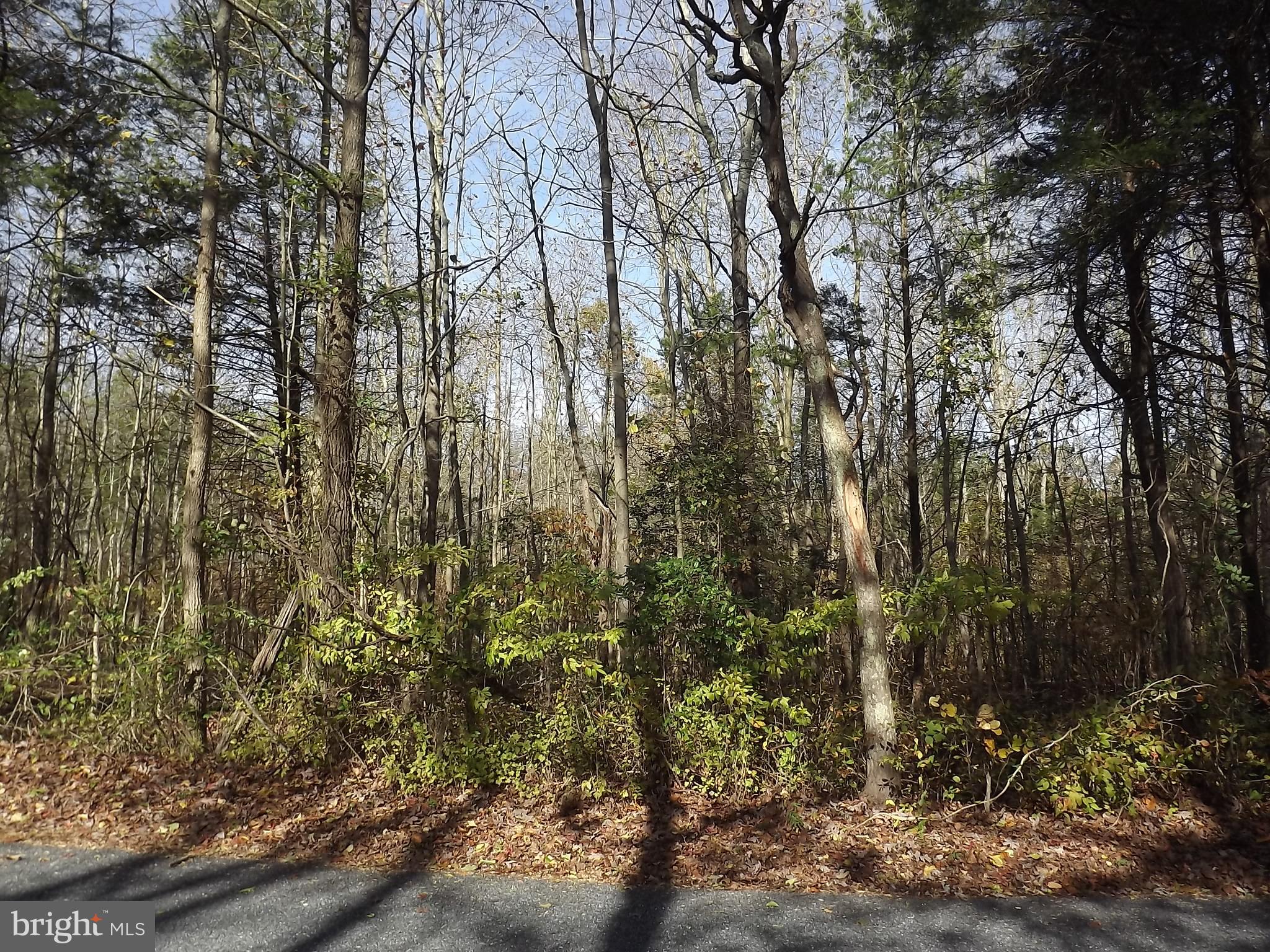 0 Yorketown Road Woodstown, NJ 08098 - Photo 4 of 6