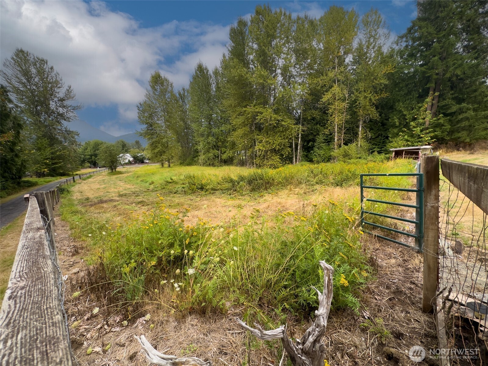 113 Skinner Road Randle, WA 98377 - Photo 23 of 34 Gallery Image 23