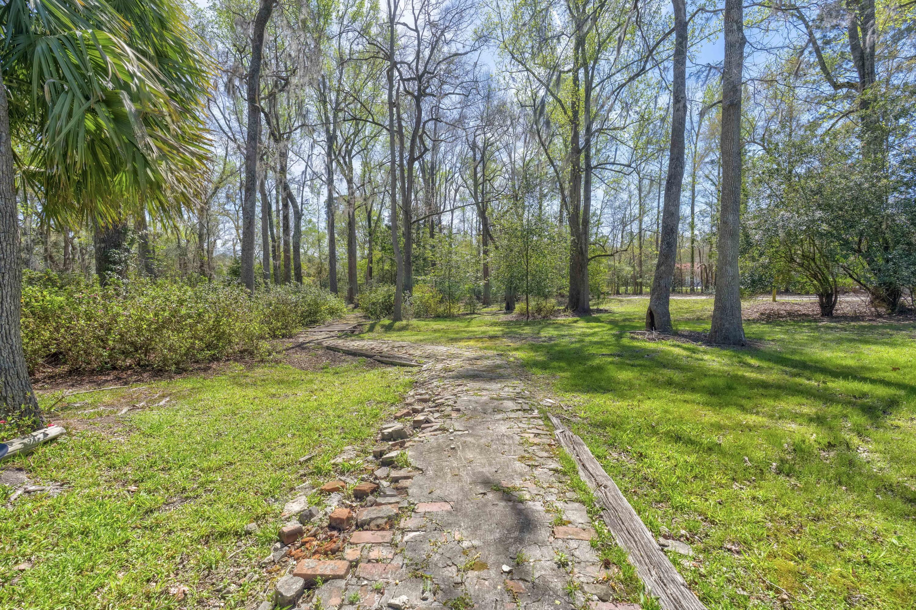 841 Googe Street Allendale, SC 29810 - Photo 39 of 50 Allendale (10 of 35)