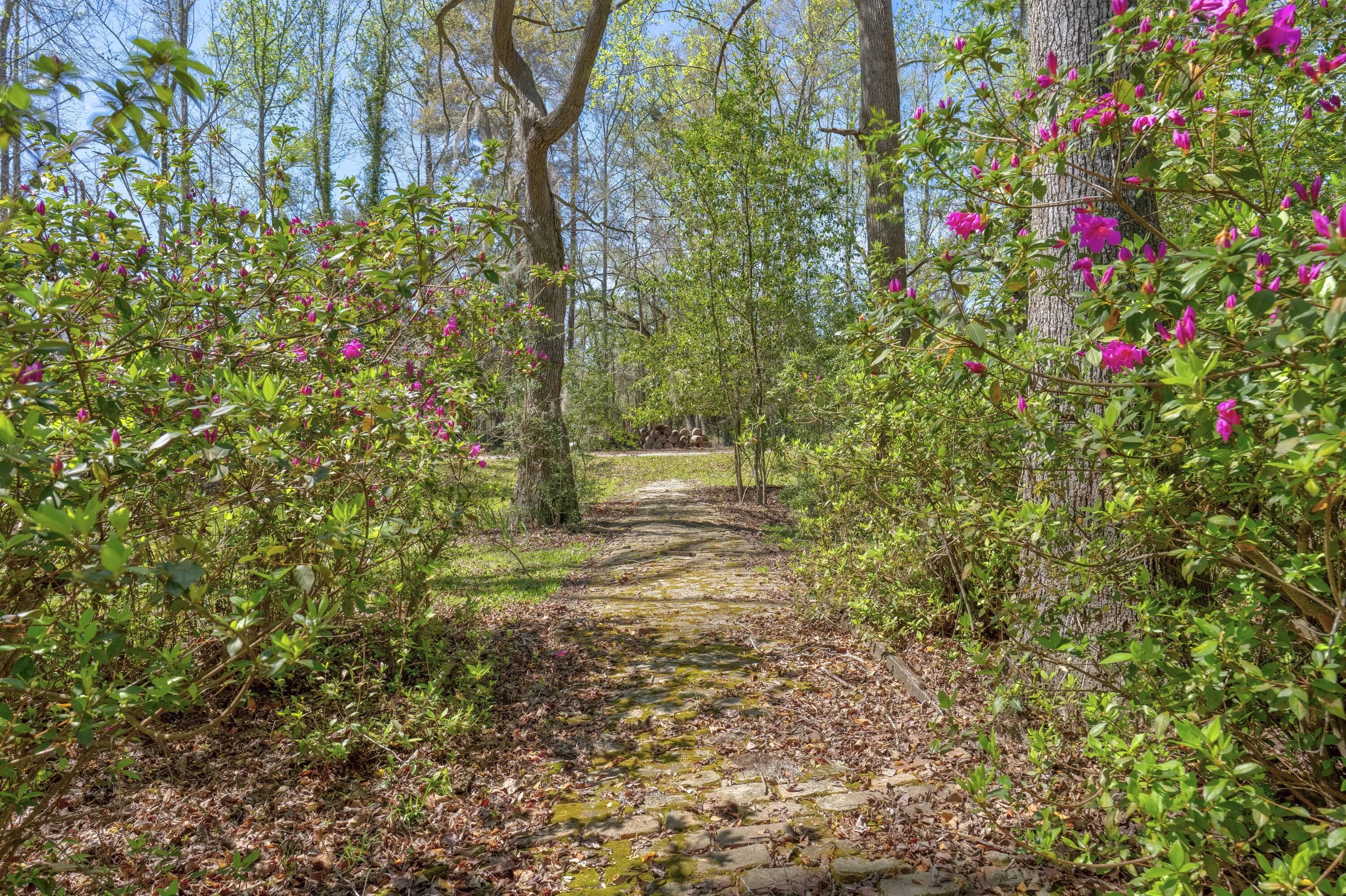 841 Googe Street Allendale, SC 29810 - Photo 43 of 50 Allendale (16 of 35)
