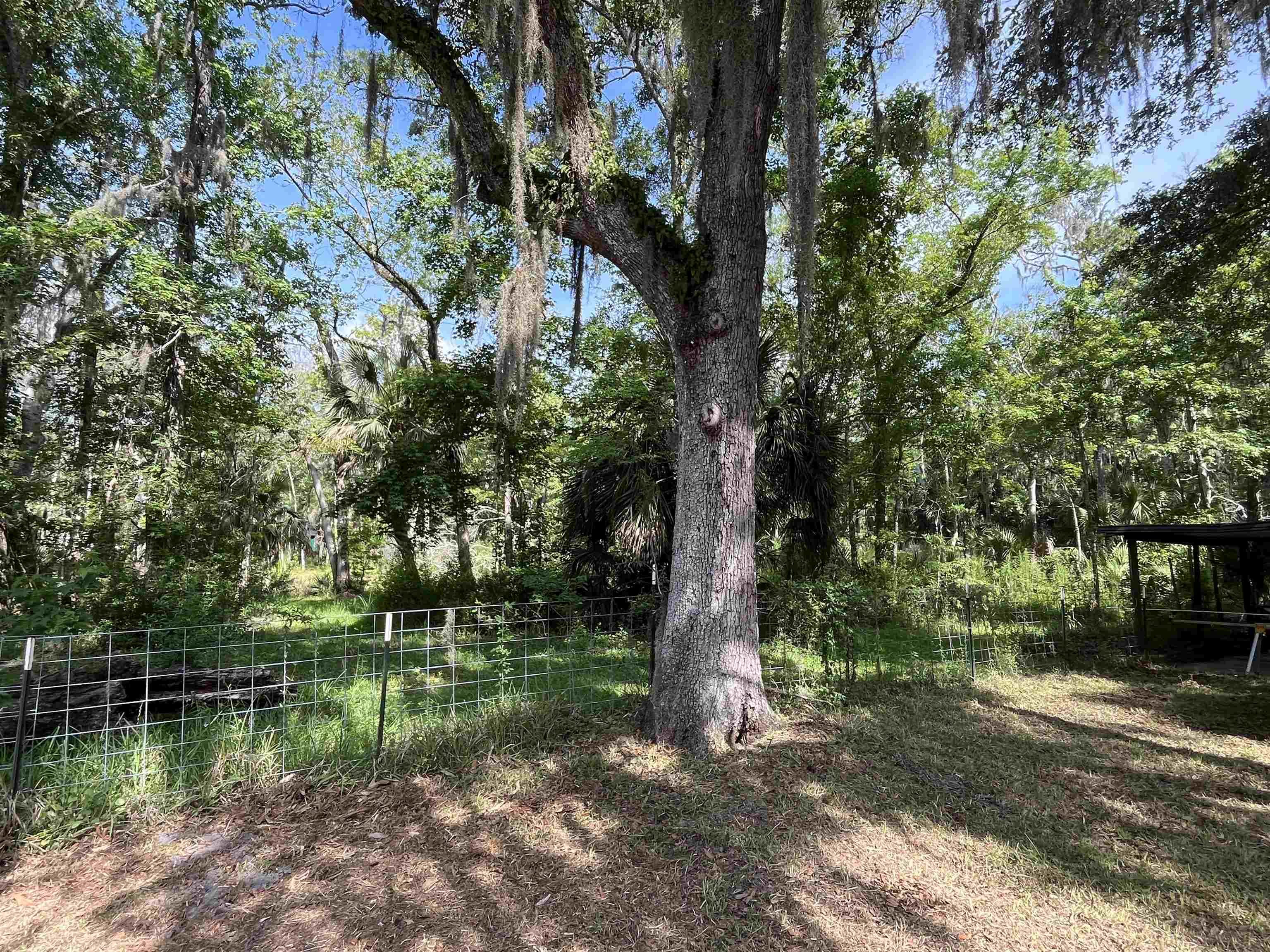 4485 Sartillo Road St. Augustine, FL 32095 - Photo 11 of 14