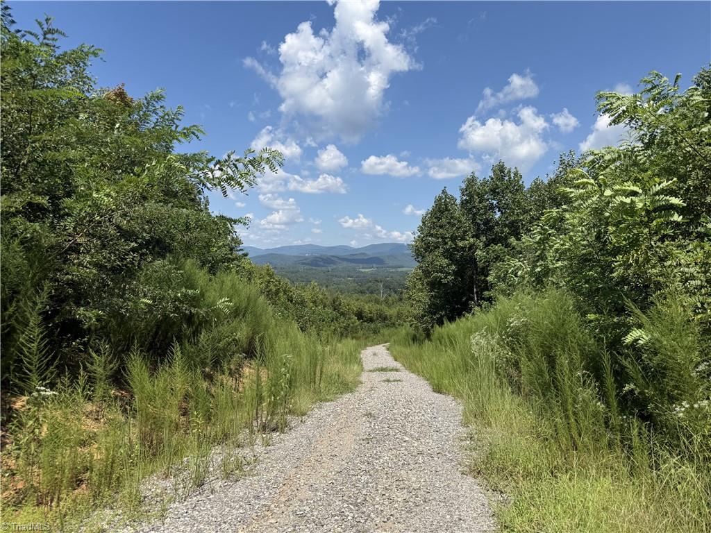 Off Off Bauguess Mill Road Traphill, NC 28685 - Photo 2 of 6 Gallery Image 2