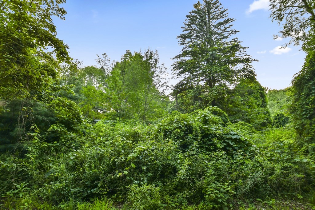 6 Tiderman Road Wales, MA 01081 - Photo 1 of 12 Gallery Image 1