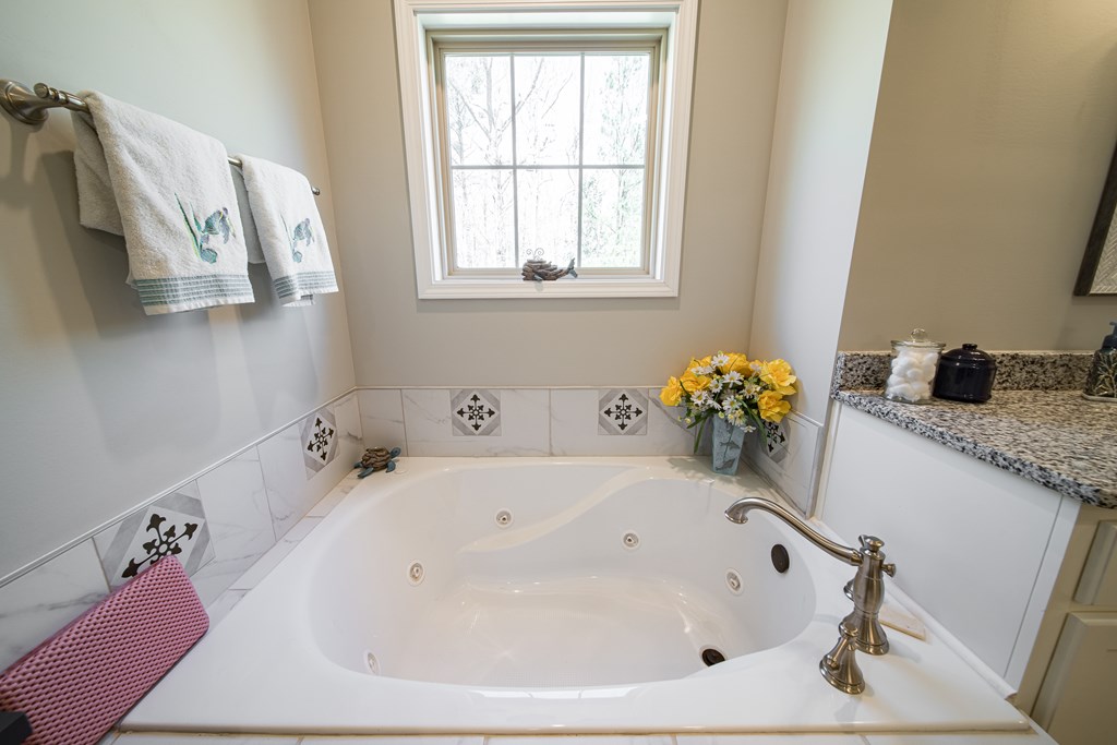636 Judson Bulloch Road Warm Springs, GA 31830 - Photo 30 of 72 Jetted Tub in Master Bath