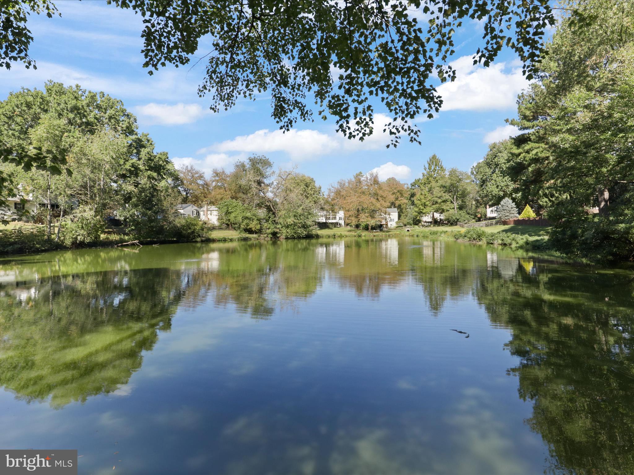 5407 Duxford Place Burke, VA 22015 - Photo 48 of 59