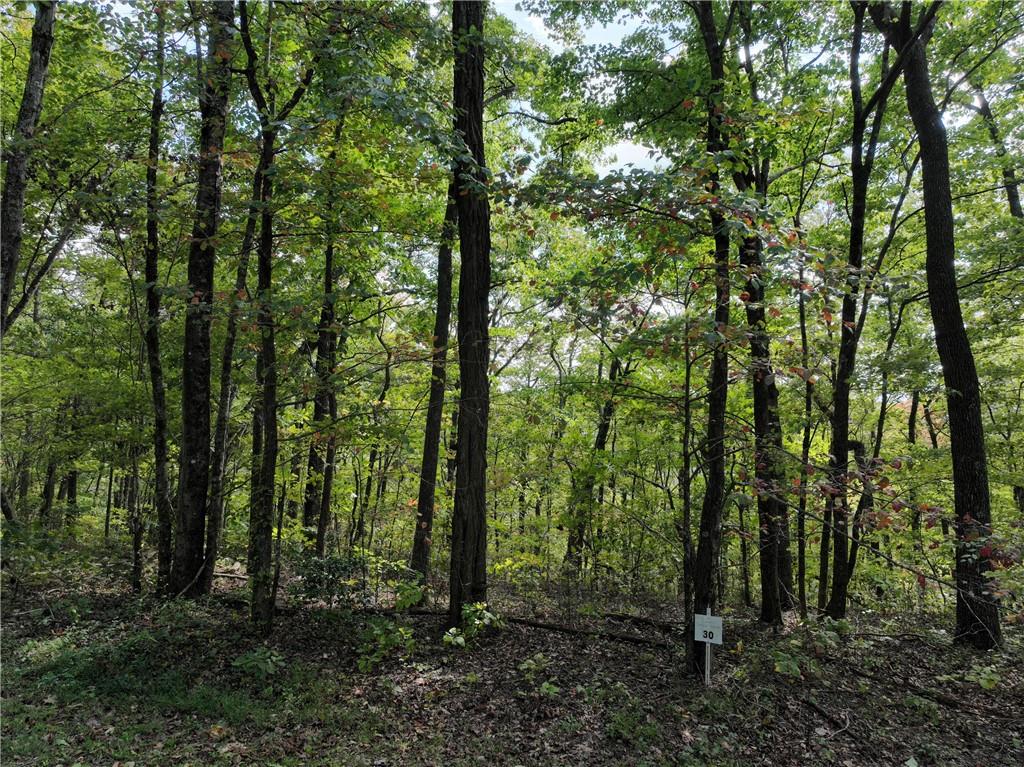 30 Andes Ridge Jasper, GA 30143 - Photo 2 of 15