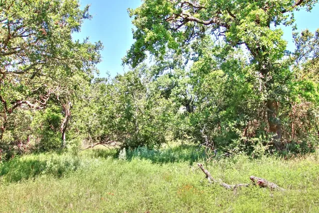 $904,358 | Lot 5 Lot, Willow City, TX 78675