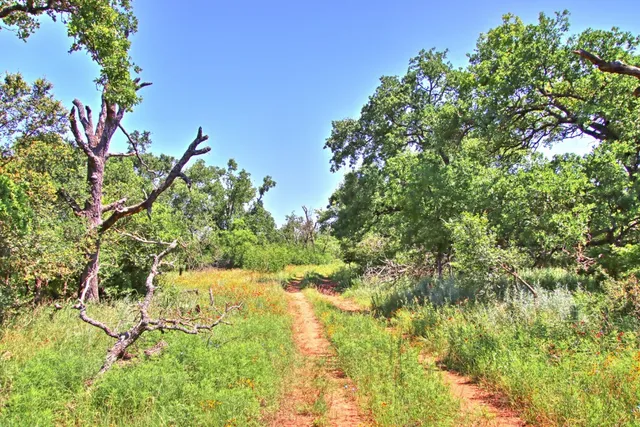 $904,358 | Lot 5 Lot, Willow City, TX 78675