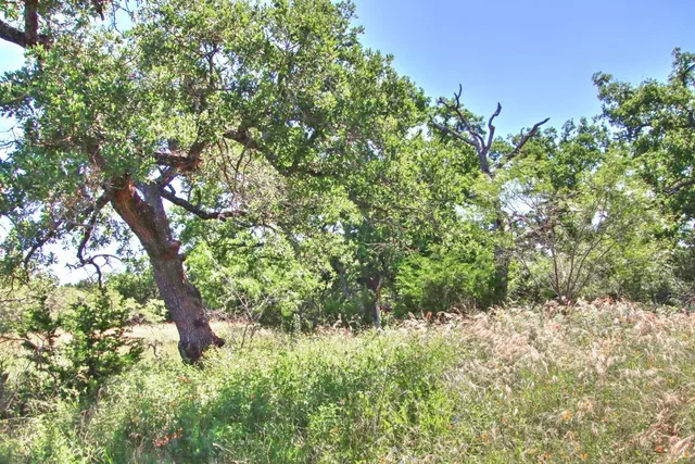 $904,358 | Lot 5 Lot, Willow City, TX 78675