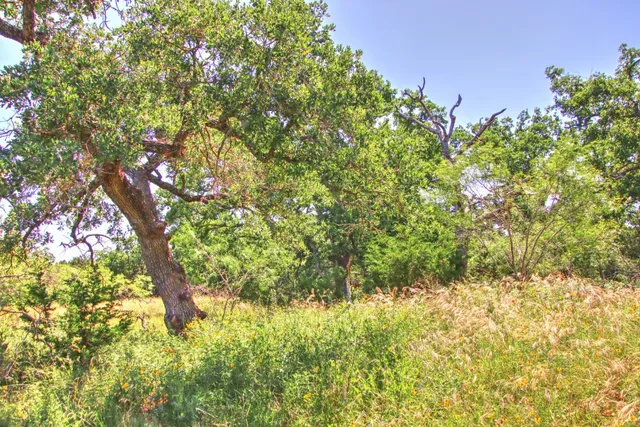 $904,358 | Lot 5 Lot, Willow City, TX 78675