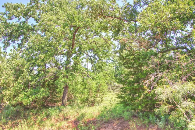$904,358 | Lot 5 Lot, Willow City, TX 78675