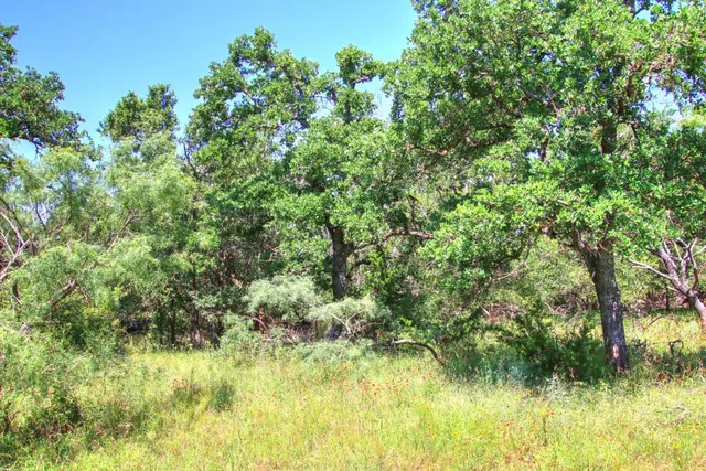 $904,358 | Lot 5 Lot, Willow City, TX 78675