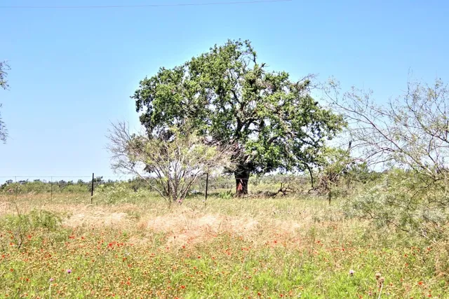 $904,358 | Lot 5 Lot, Willow City, TX 78675