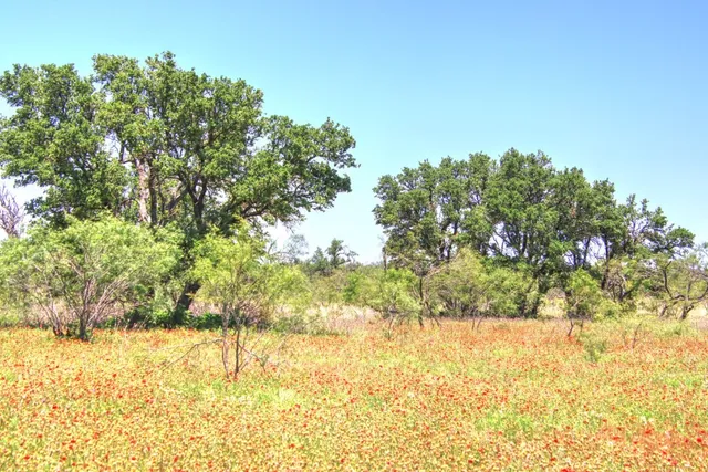 $904,358 | Lot 5 Lot, Willow City, TX 78675