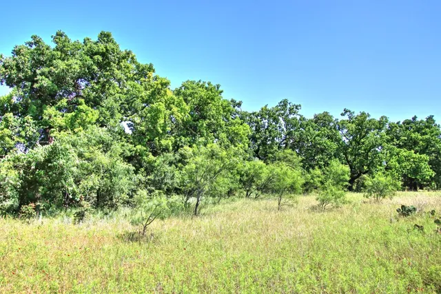 $904,358 | Lot 5 Lot, Willow City, TX 78675