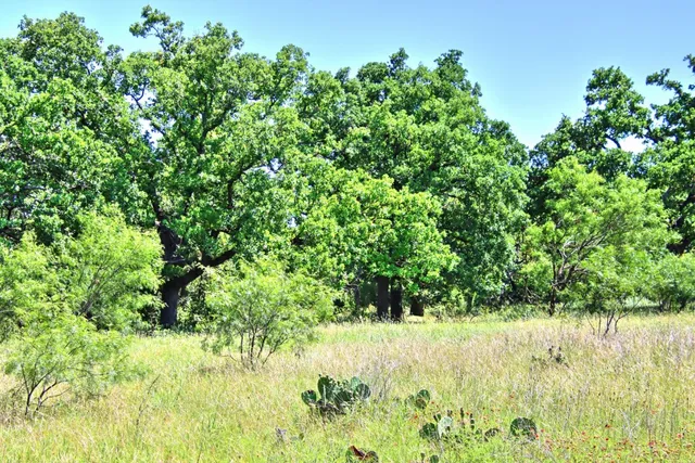 $904,358 | Lot 5 Lot, Willow City, TX 78675