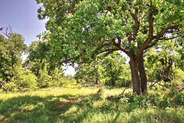 $904,358 | Lot 5 Lot, Willow City, TX 78675