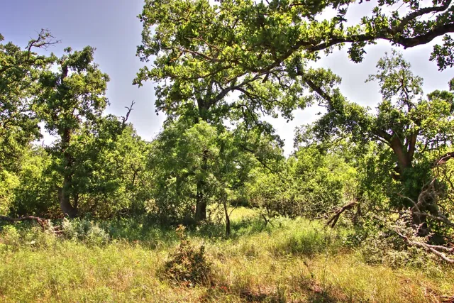 $904,358 | Lot 5 Lot, Willow City, TX 78675
