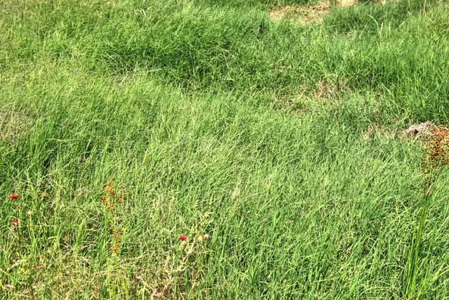 $904,358 | Lot 5 Lot, Willow City, TX 78675