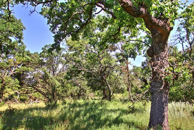 $904,358 | Lot 5 Lot, Willow City, TX 78675