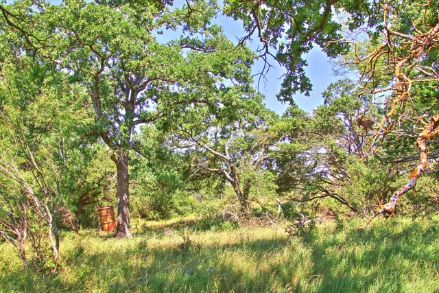 $904,358 | Lot 5 Lot, Willow City, TX 78675