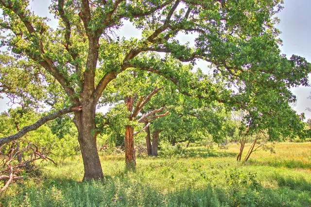 $904,358 | Lot 5 Lot, Willow City, TX 78675