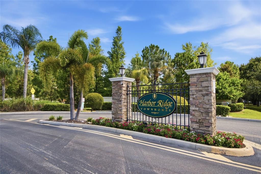 485 Harbor Ridge Drive Palm Harbor, FL 34683 - Photo 36 of 46