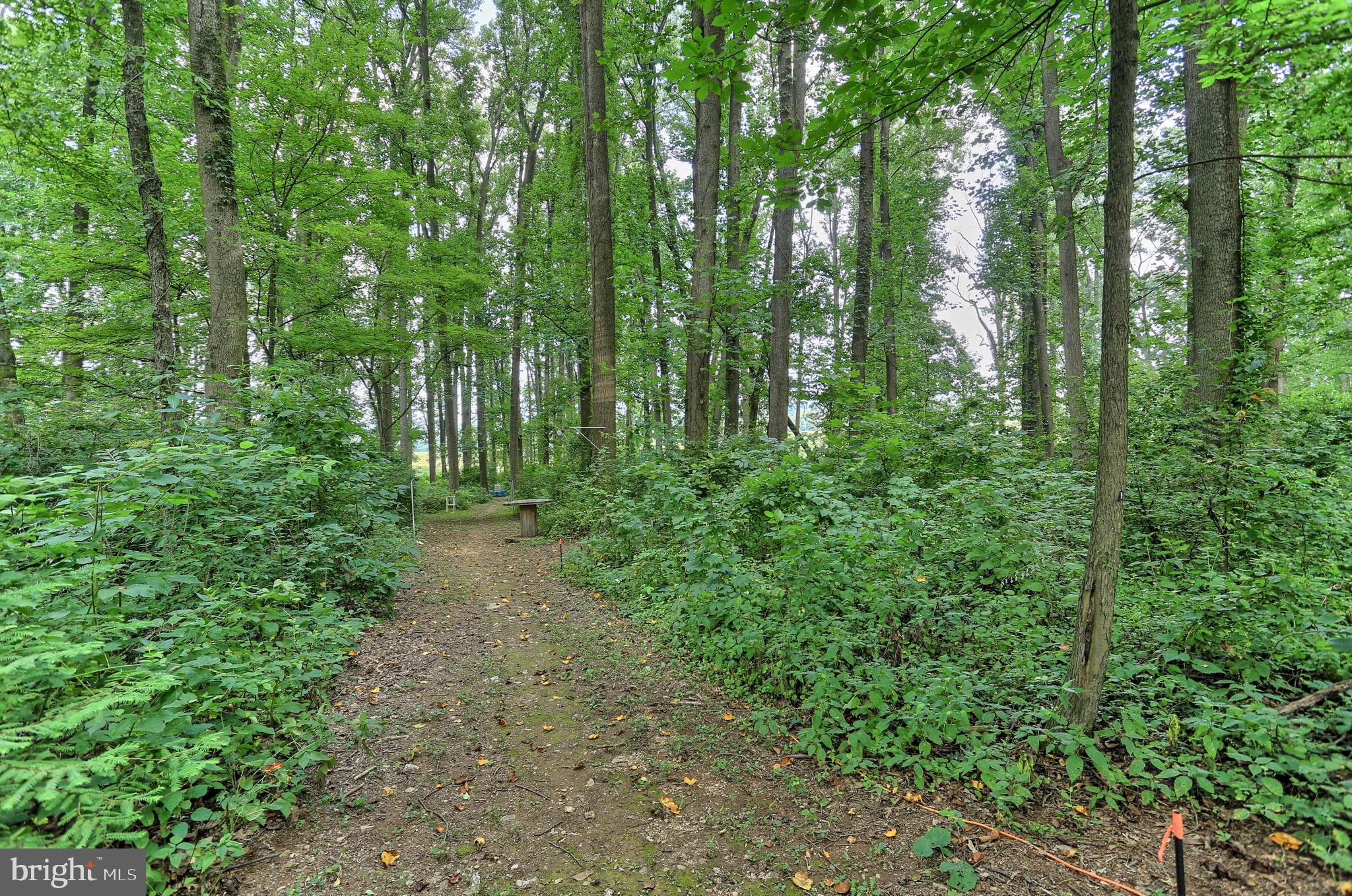 225 Reynolds Mill Road York, PA 17403 - Photo 67 of 73 WOODED LOT BEHIND HOUSE