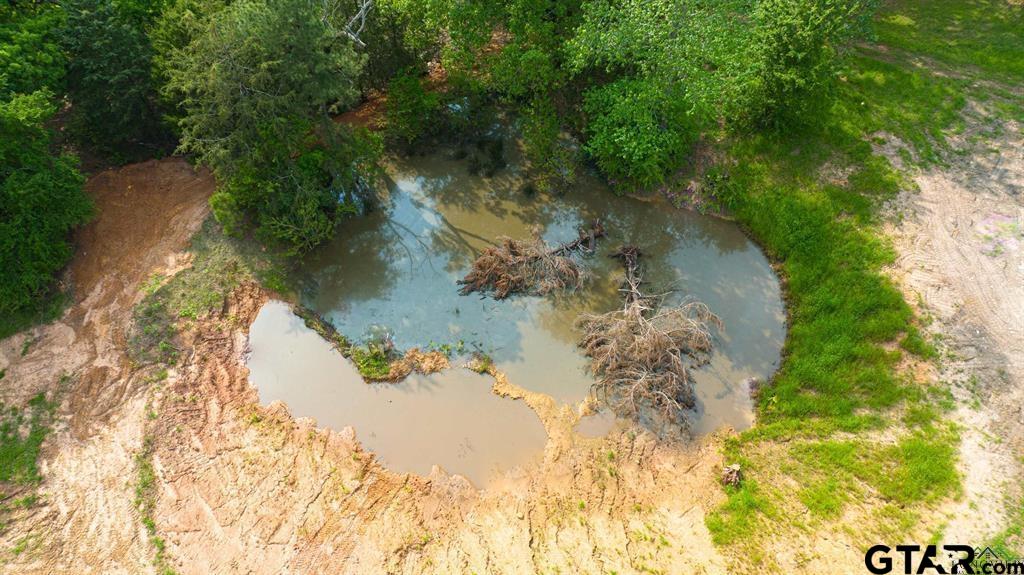 4119 McCann Road Longview, TX 75605 - Photo 16 of 16 a view of a lake in a forest