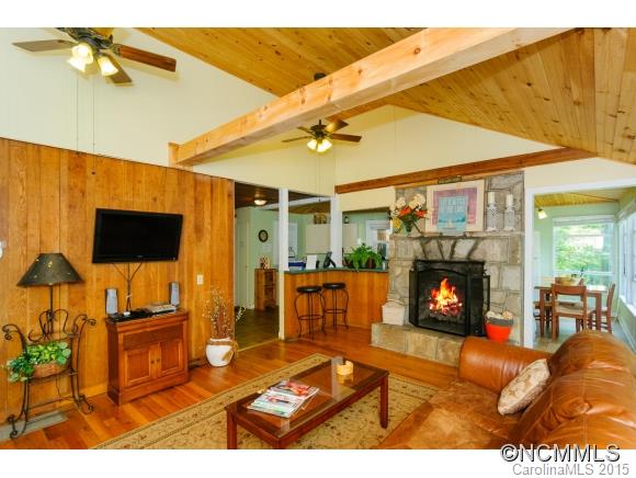 247 Picnic Point Road Lake Lure, NC 28746 - Photo 3 of 24 Gallery Image 3