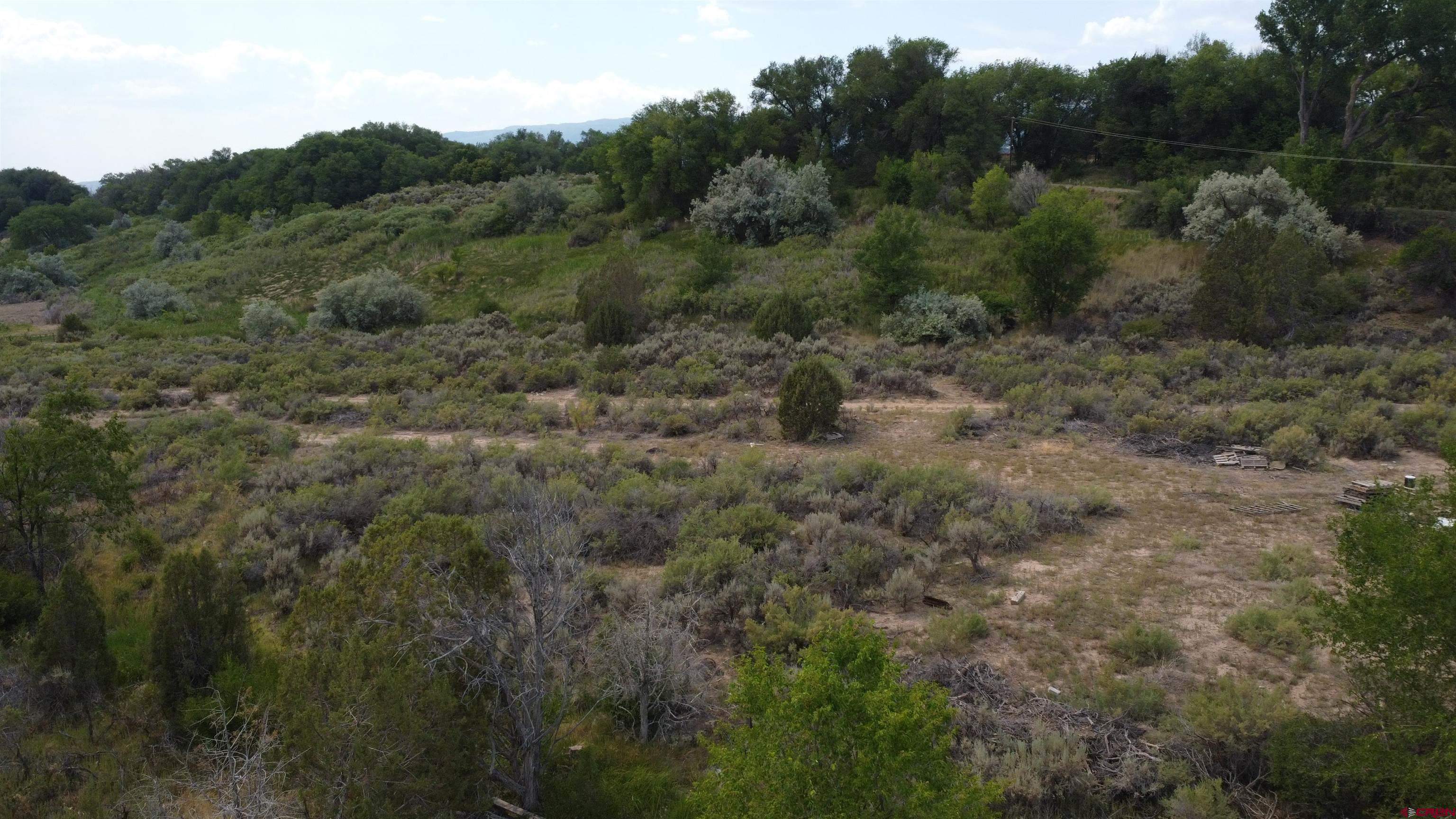 21538 Hamilton Road Eckert, CO 81418 - Photo 9 of 9