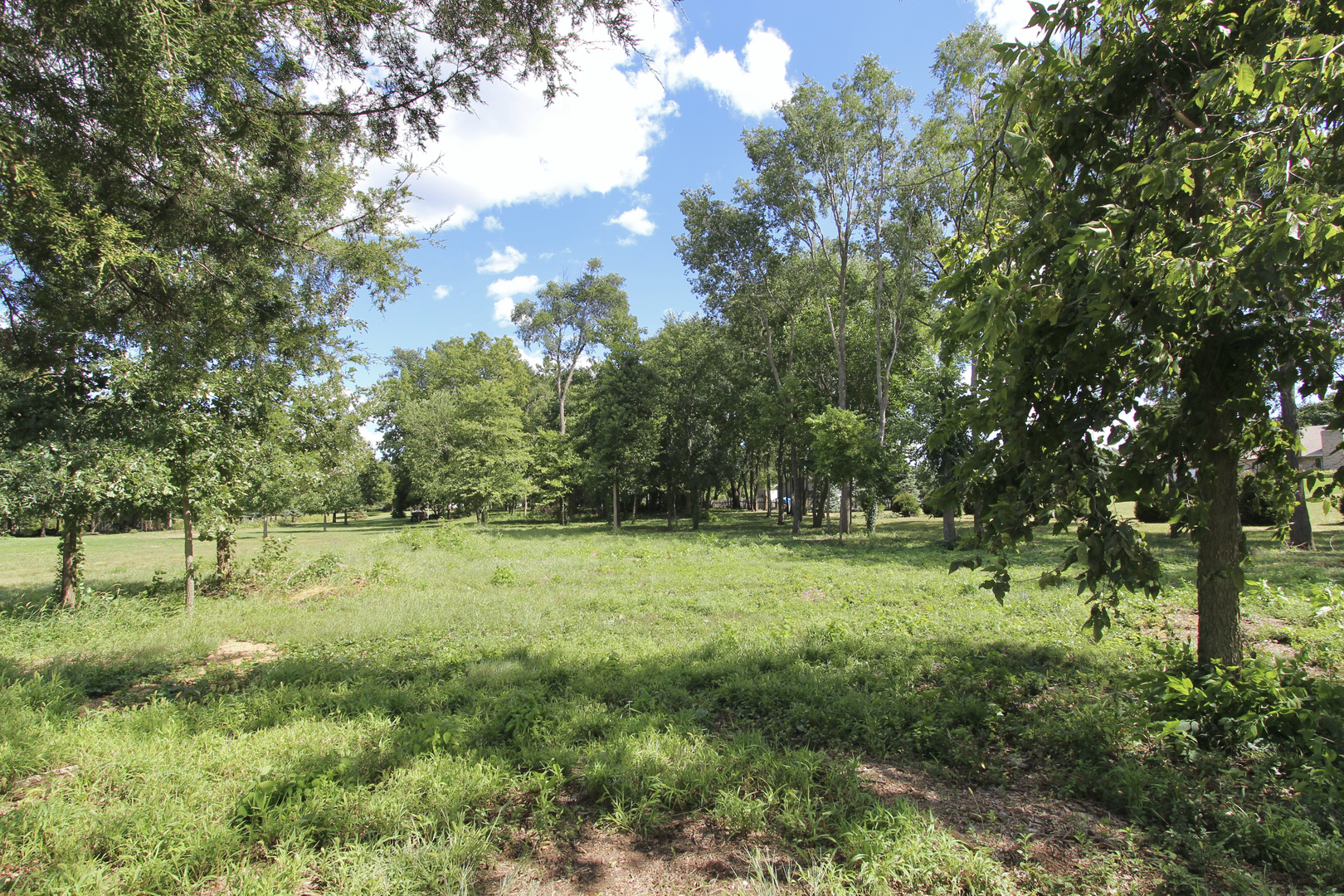 3784 Spring Run Lane Morris, IL 60450 - Photo 1 of 6