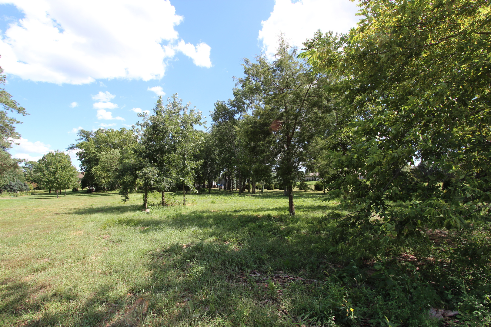 3784 Spring Run Lane Morris, IL 60450 - Photo 2 of 6