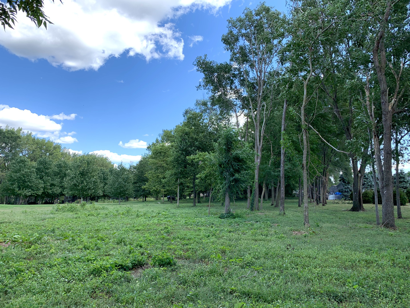 3784 Spring Run Lane Morris, IL 60450 - Photo 5 of 6